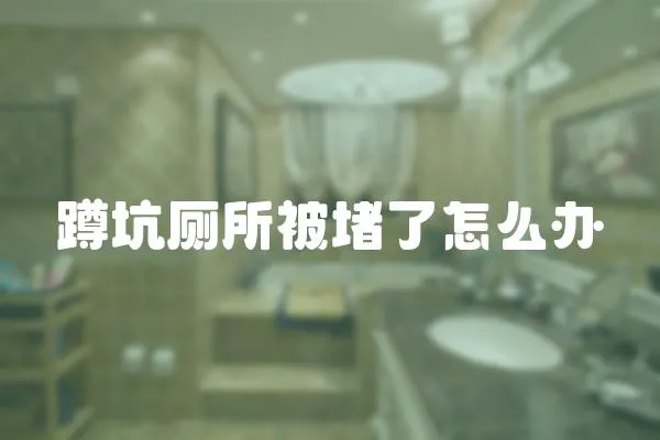 蹲坑廁所被堵了怎么辦