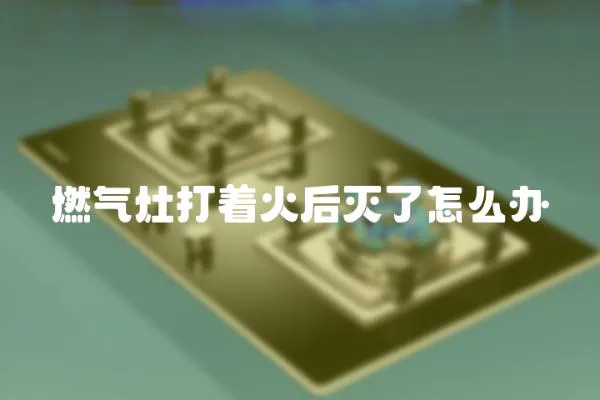 燃?xì)庠畲蛑鸷鬁缌嗽趺崔k