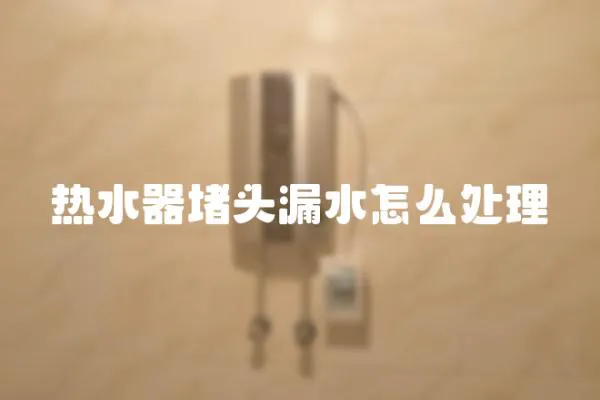 熱水器堵頭漏水怎么處理