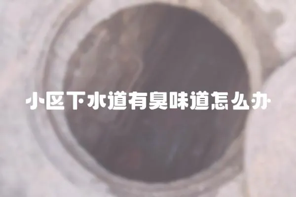 小區下水道有臭味道怎么辦