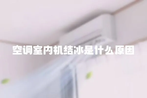 空調(diào)室內(nèi)機結(jié)冰是什么原因