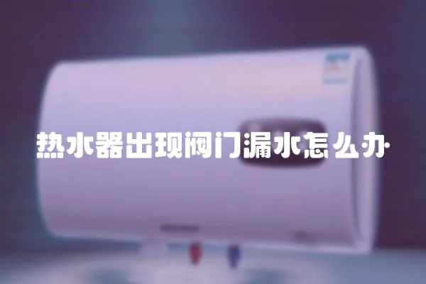 熱水器出現閥門漏水怎么辦