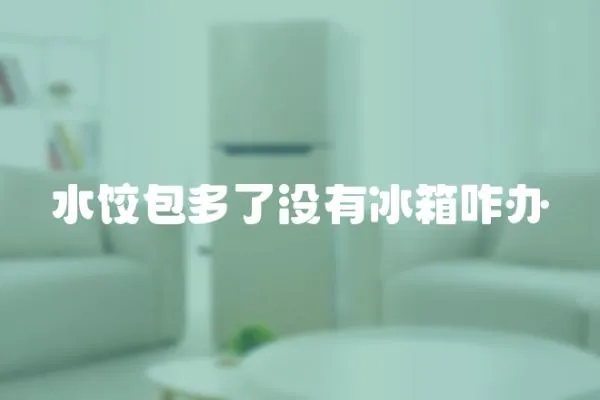 水餃包多了沒有冰箱咋辦