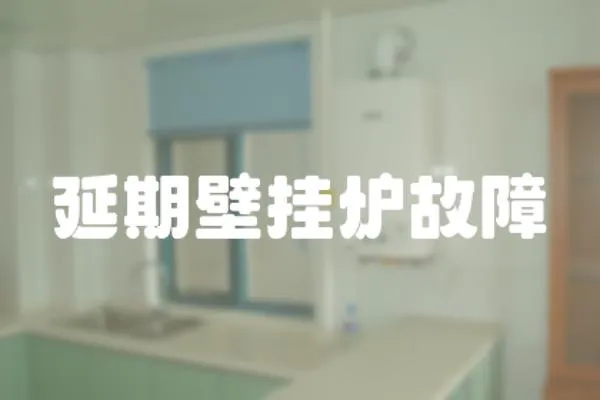 延期壁掛爐故障