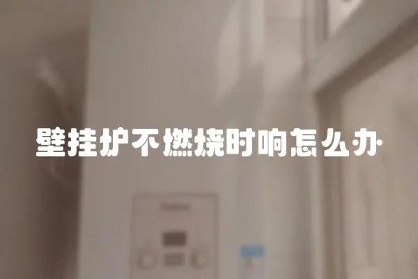 壁掛爐不燃燒時響怎么辦
