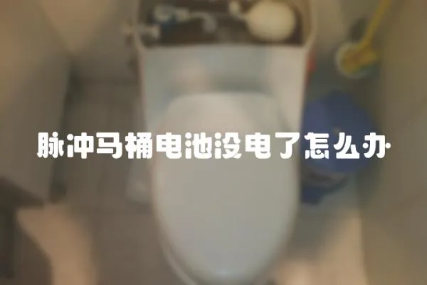 脈沖馬桶電池沒電了怎么辦