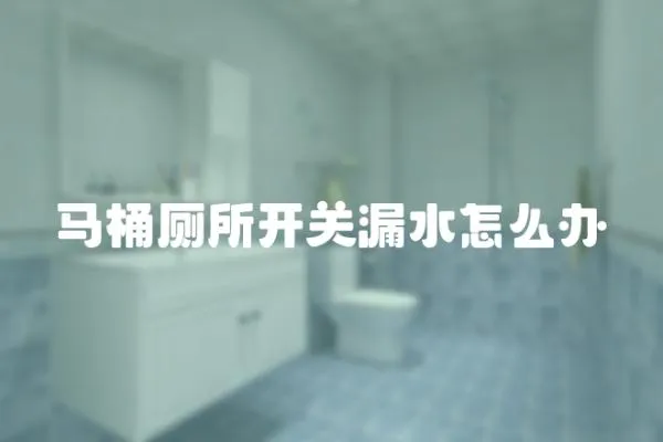 馬桶廁所開關漏水怎么辦