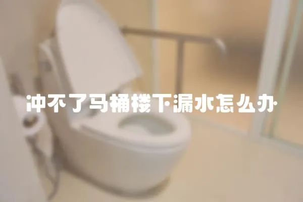 沖不了馬桶樓下漏水怎么辦