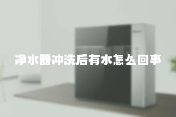 凈水器沖洗后有水怎么回事