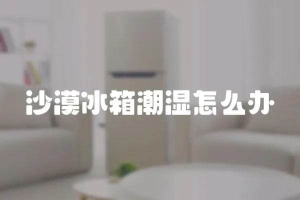 沙漠冰箱潮濕怎么辦