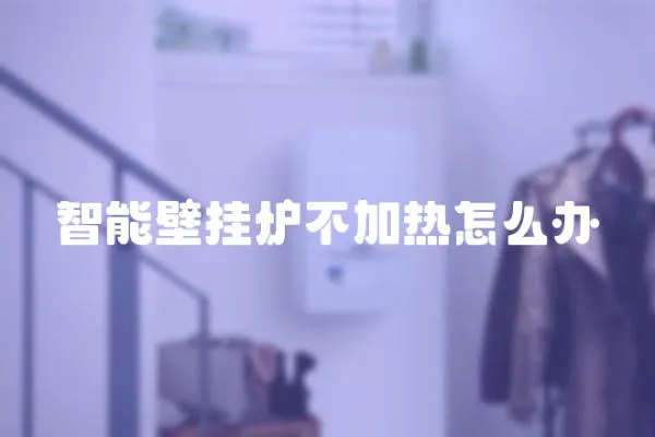 智能壁掛爐不加熱怎么辦