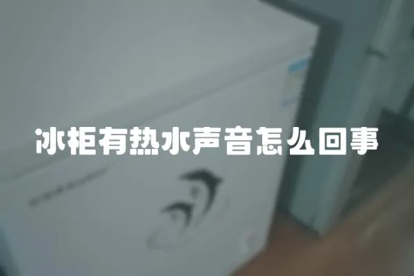 冰柜有熱水聲音怎么回事