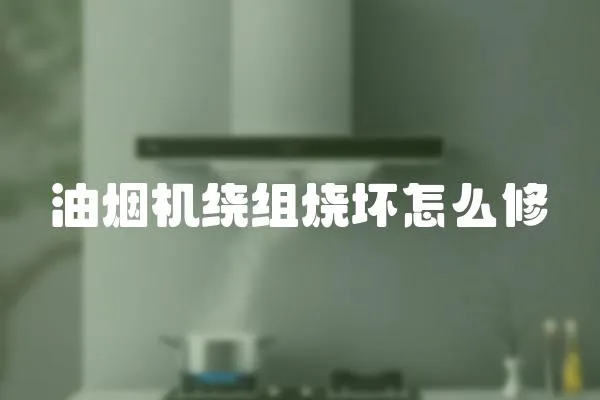 油煙機繞組燒壞怎么修