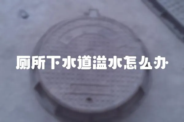 廁所下水道溢水怎么辦