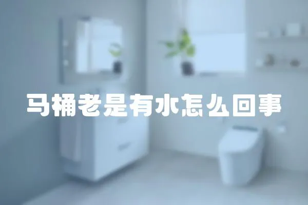 馬桶老是有水怎么回事