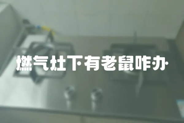 燃氣灶下有老鼠咋辦