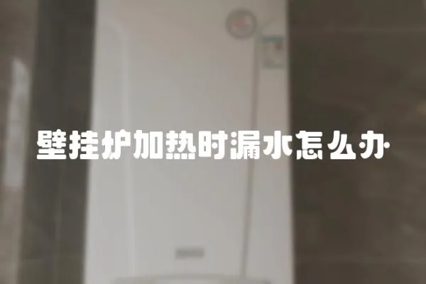 壁掛爐加熱時漏水怎么辦