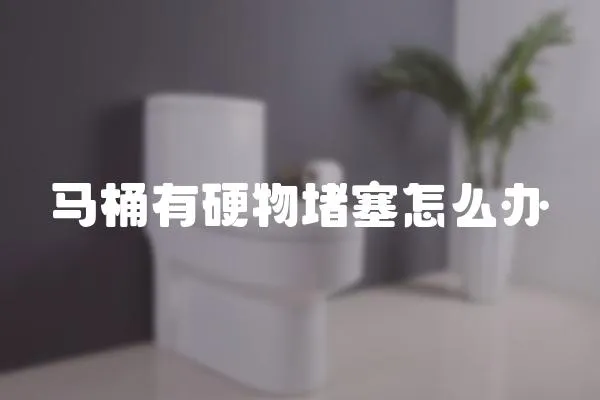 馬桶有硬物堵塞怎么辦