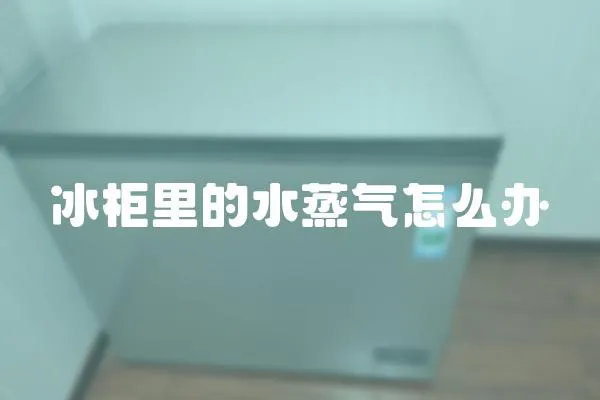 冰柜里的水蒸氣怎么辦