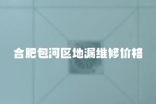 合肥包河區(qū)地漏維修價格