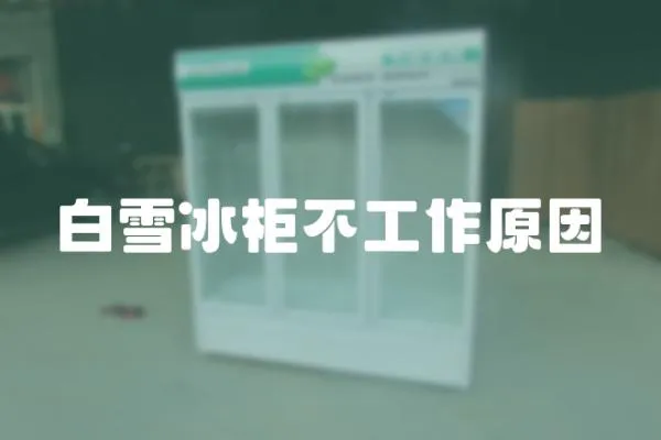 白雪冰柜不工作原因