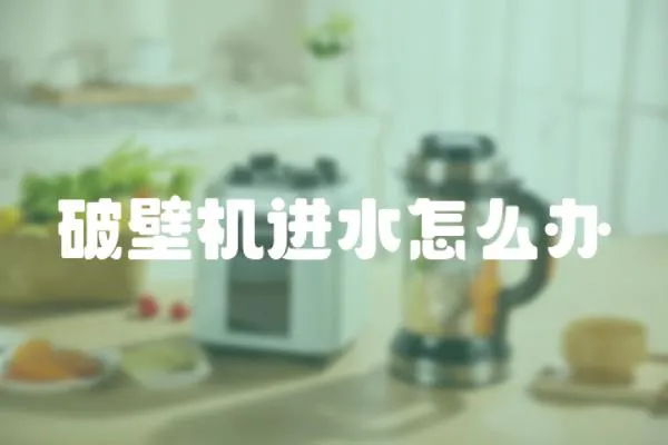 破壁機(jī)進(jìn)水怎么辦