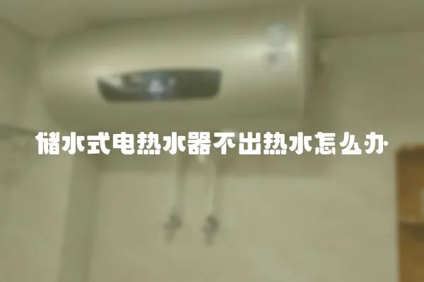 儲水式電熱水器不出熱水怎么辦