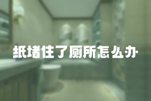 紙堵住了廁所怎么辦