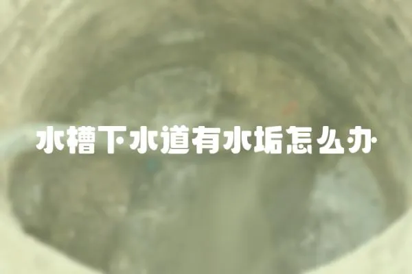 水槽下水道有水垢怎么辦