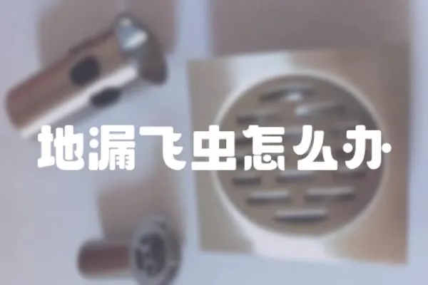 地漏飛蟲怎么辦