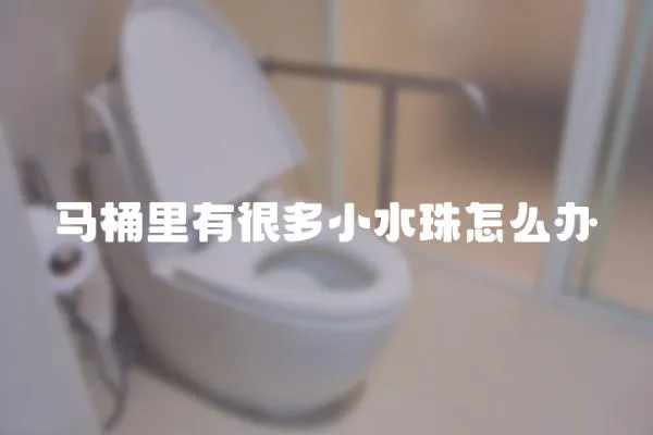 馬桶里有很多小水珠怎么辦