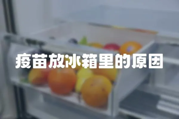 疫苗放冰箱里的原因