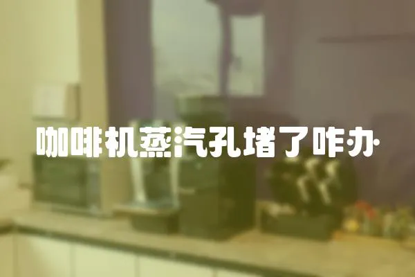 咖啡機蒸汽孔堵了咋辦