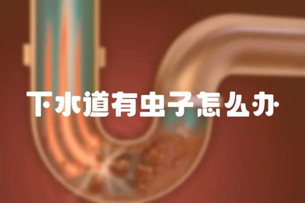 下水道有蟲子怎么辦