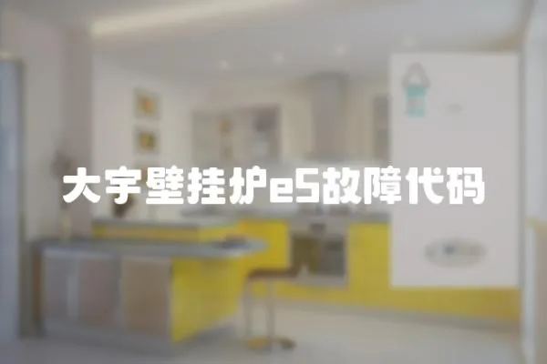 大宇壁掛爐e5故障代碼