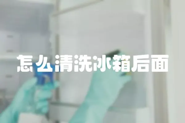怎么清洗冰箱后面