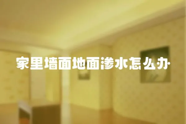家里墻面地面滲水怎么辦