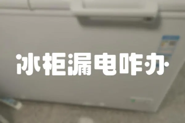 冰柜漏電咋辦