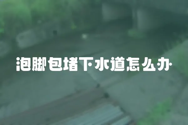 泡腳包堵下水道怎么辦