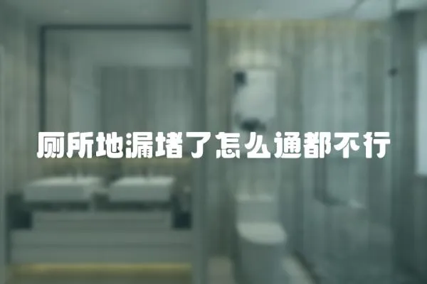 廁所地漏堵了怎么通都不行