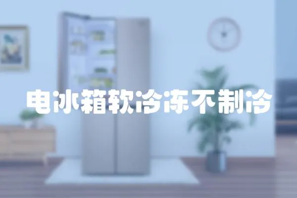 電冰箱軟冷凍不制冷