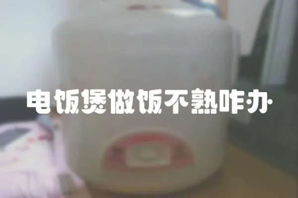電飯煲做飯不熟咋辦