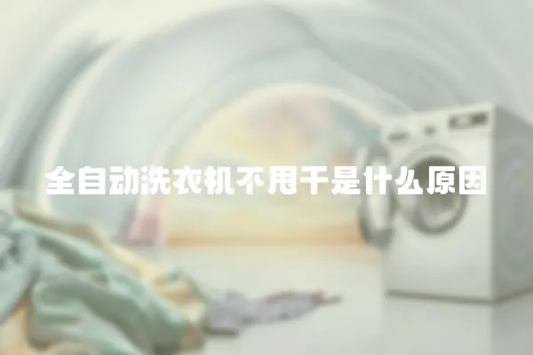 全自動洗衣機不甩干是什么原因