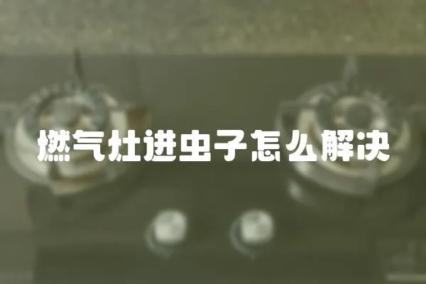 燃氣灶進蟲子怎么解決