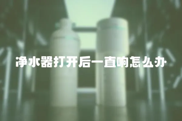 凈水器打開后一直響怎么辦