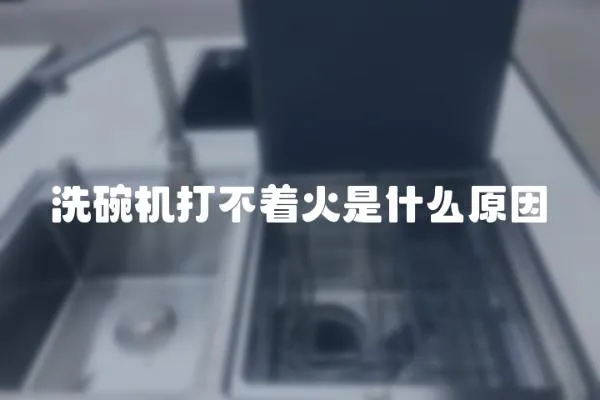 洗碗機打不著火是什么原因