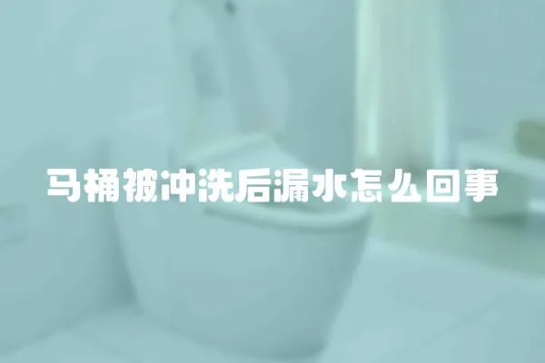 馬桶被沖洗后漏水怎么回事