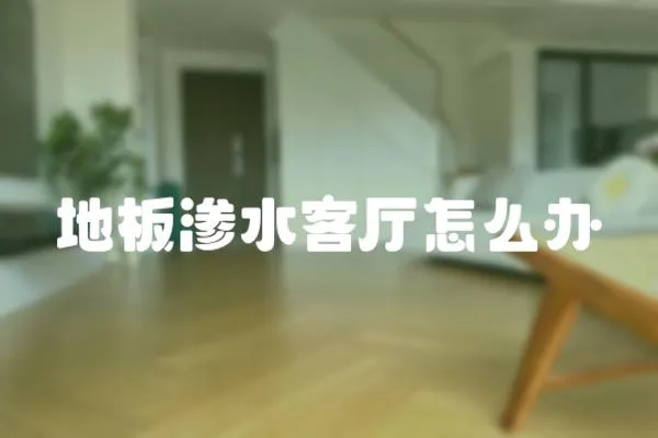 地板滲水客廳怎么辦