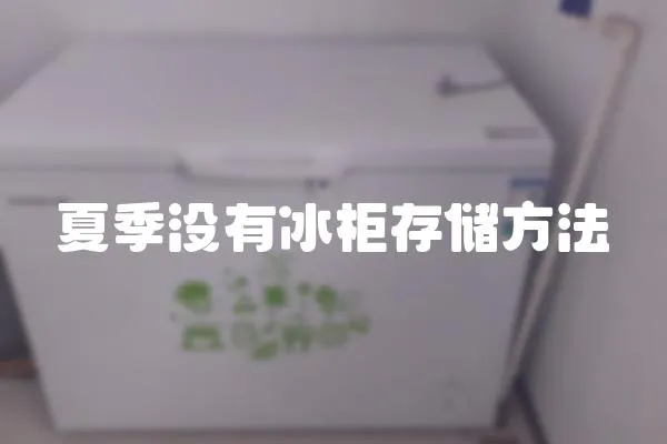 夏季沒有冰柜存儲方法