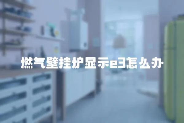 燃?xì)獗趻鞝t顯示e3怎么辦